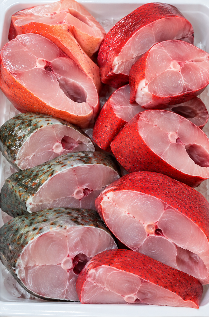 Ikan segar cutout